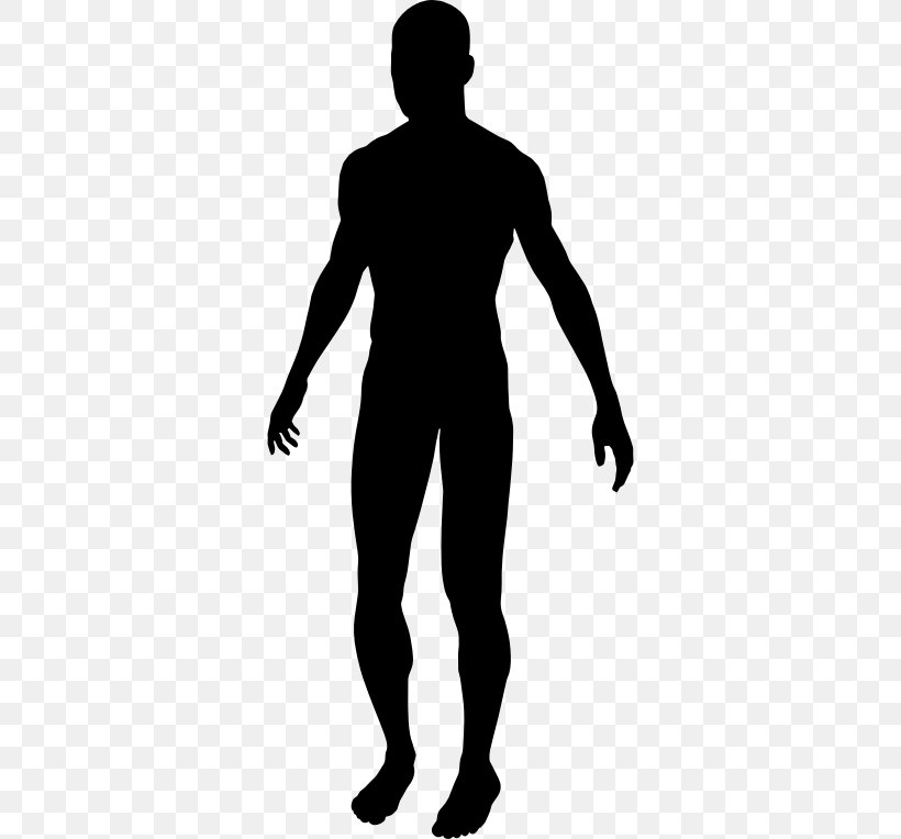 Silhouette Male Clip Art, PNG, 334x764px, Silhouette, Arm, Art, Black, Black And White Download Free