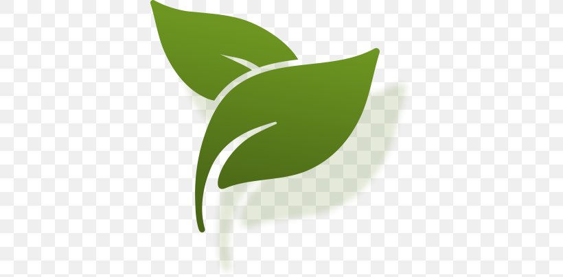 Drawing Painting Leaf, PNG, 381x404px, Drawing, Grass, Green, Leaf, Logo Download Free