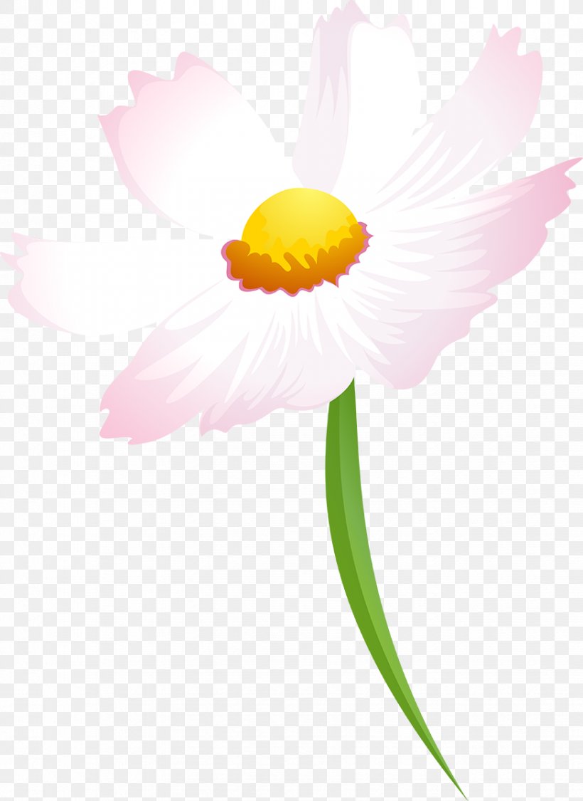 Flower Daisy Family Petal Desktop Wallpaper Plant, PNG, 874x1200px, Flower, Close Up, Common Daisy, Computer, Daisy Download Free