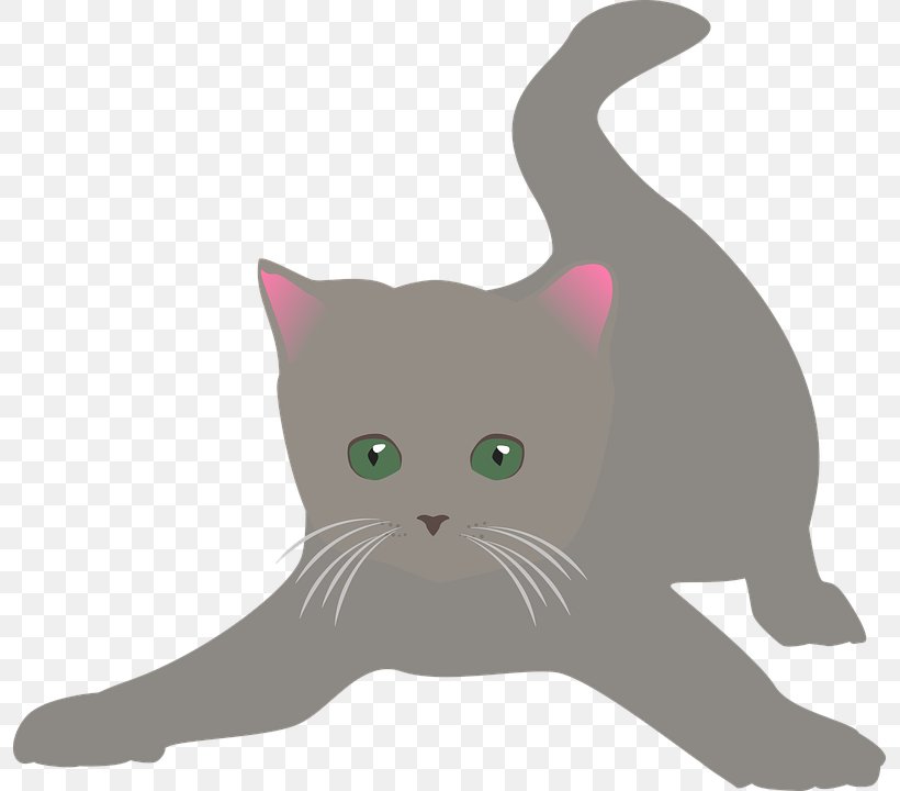 Kitten Whiskers Domestic Short-haired Cat British Shorthair Clip Art, PNG, 795x720px, Kitten, Animal, Black Cat, Breed, British Shorthair Download Free
