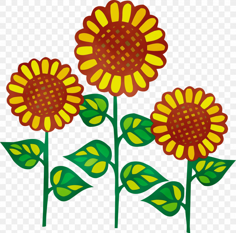 Sunflower, PNG, 3000x2966px, Sunflower, Cartoon, Cut Flowers, Flower, Paint Download Free