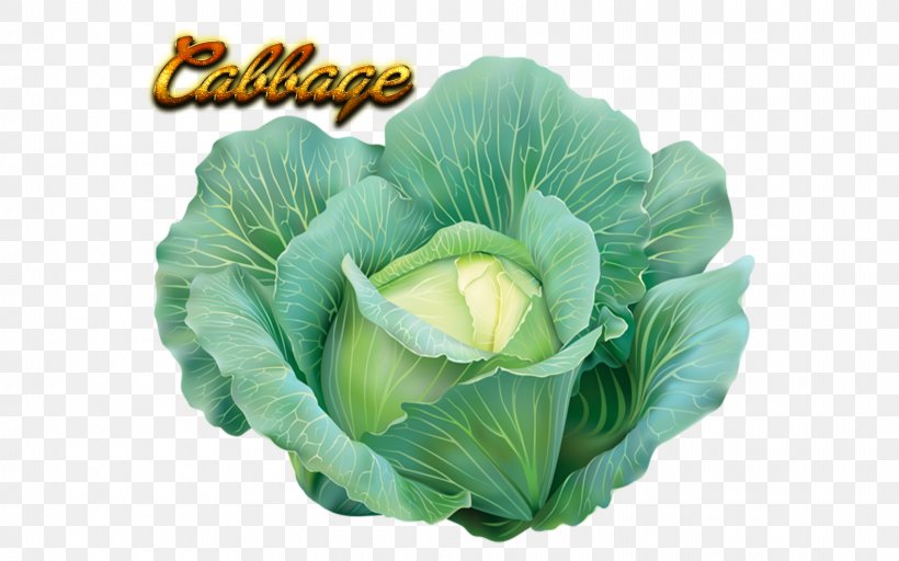 Cabbage Clip Art Vegetable Cauliflower Greens, PNG, 1920x1200px, Cabbage, Bok Choi, Cauliflower, Chinese Cabbage, Curly Kale Download Free
