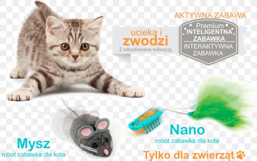 Cat Toys Dog Pet Cat Tree, PNG, 900x567px, Cat, Adaptation, American Shorthair, Asian, Carnivore Download Free
