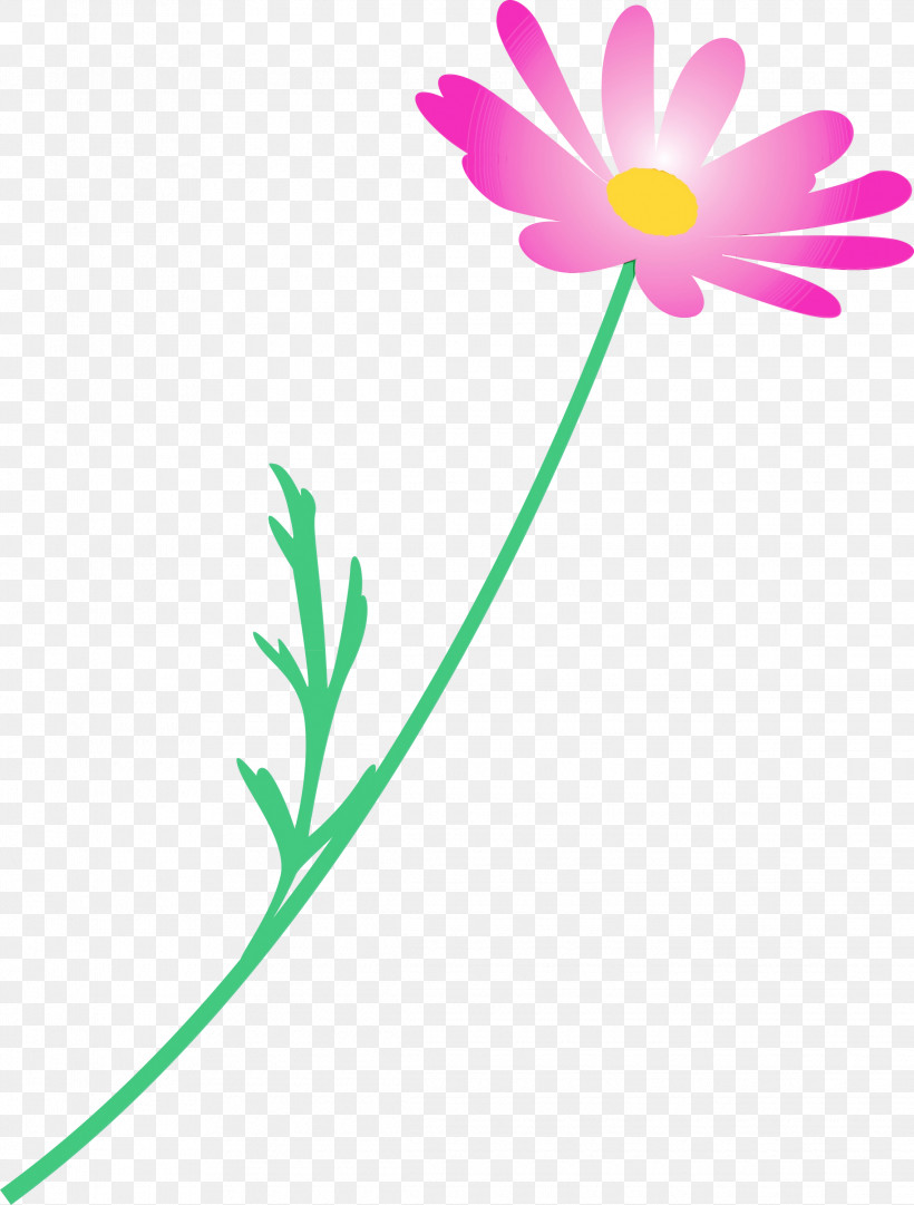Flower Pedicel Plant Chamomile Plant Stem, PNG, 2275x3000px, Marguerite Flower, Chamomile, Daisy Family, Flower, Paint Download Free