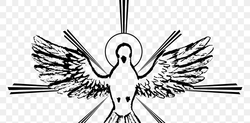 Holy Spirit Spiritual Gift Saint Catechism Of The Catholic Church, PNG, 770x405px, Holy Spirit, Artwork, Beak, Bird, Black And White Download Free