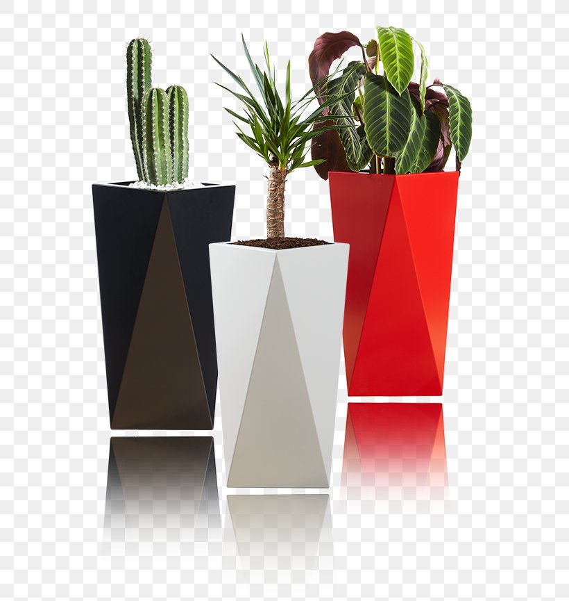 Kasper Design S.r.o. Flowerpot Product Design Apartment, PNG, 692x865px, Flowerpot, Apartment, Cactus, Houseplant, Plant Download Free