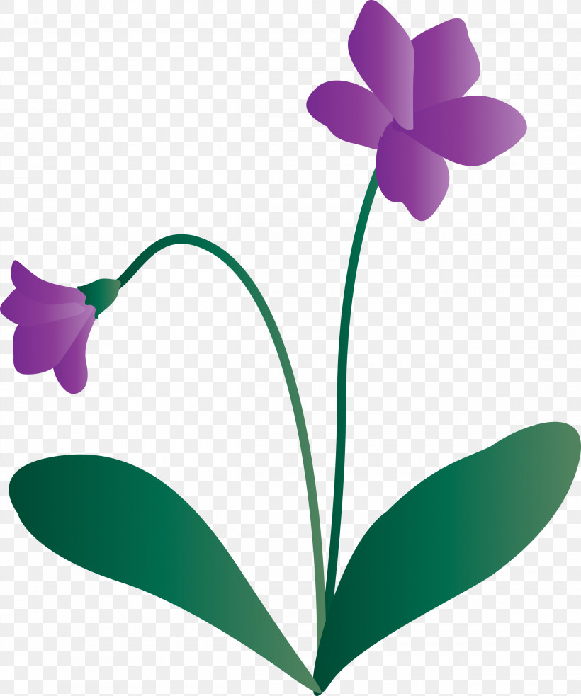 Violet Flower, PNG, 2501x3000px, Violet Flower, Flora, Flower, Herbaceous Plant, Leaf Download Free
