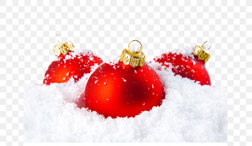 Christmas Ornament Decorative Arts Christmas Decoration Holiday, PNG, 667x474px, Christmas Ornament, Art, Christmas, Christmas And Holiday Season, Christmas Decoration Download Free