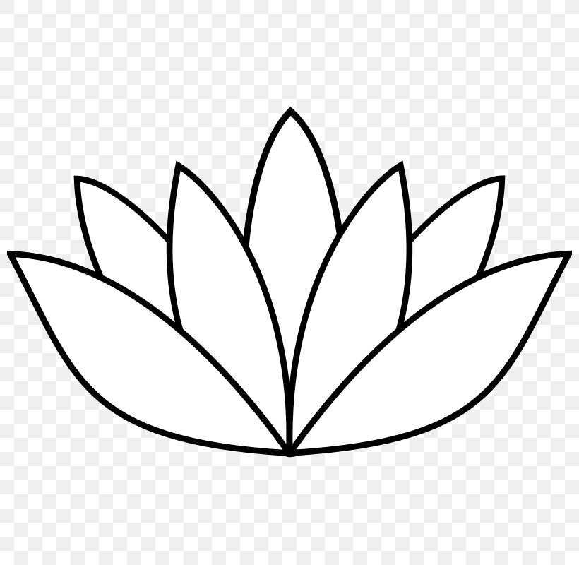 Drawing Nelumbo Nucifera Line Art Clip Art, PNG, 800x800px, Drawing, Area, Art, Black And White, Branch Download Free