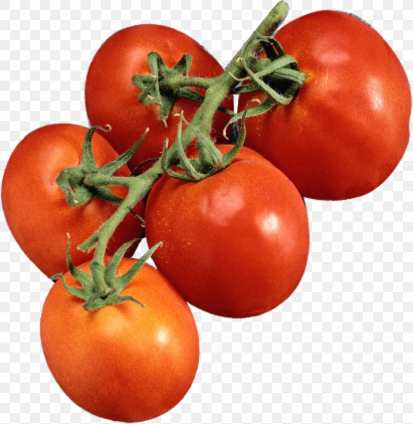 Plum Tomato Cherry Tomato Bush Tomato Vegetable, PNG, 1773x1821px, Plum Tomato, Auglis, Bush Tomato, Cherry Tomato, Diet Food Download Free