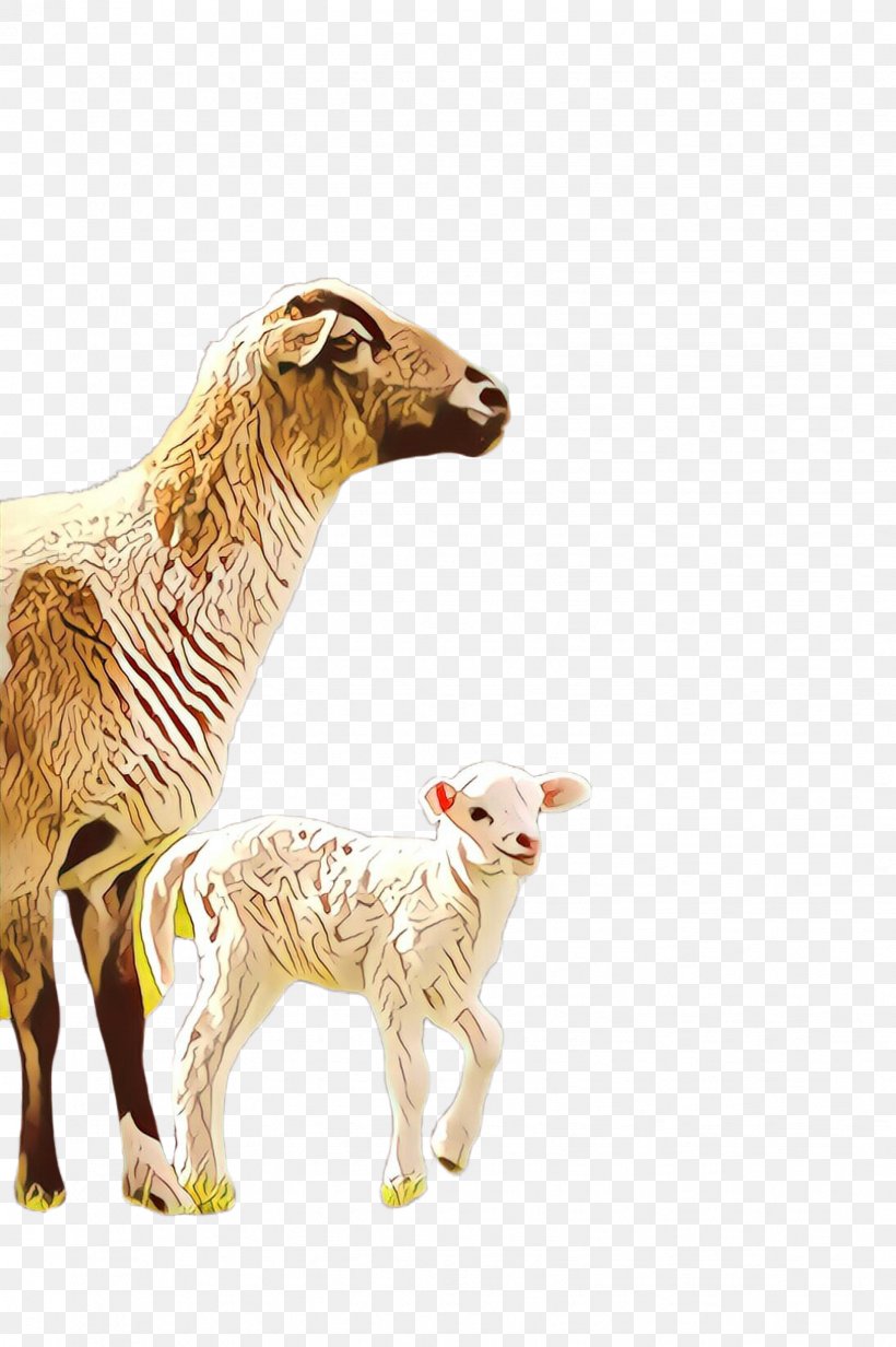 Sheep Sheep Animal Figure Livestock Cow-goat Family, PNG, 1632x2452px, Cartoon, Animal Figure, Cowgoat Family, Fawn, Goats Download Free