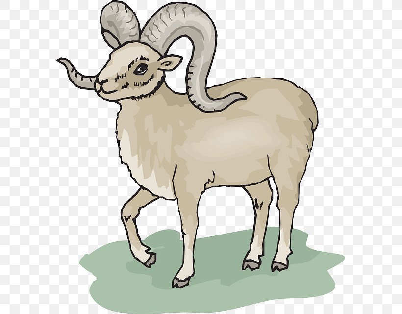 Bighorn Sheep Goat Clip Art, PNG, 589x640px, Sheep, Animal Figure, Argali, Barbary Sheep, Bighorn Sheep Download Free