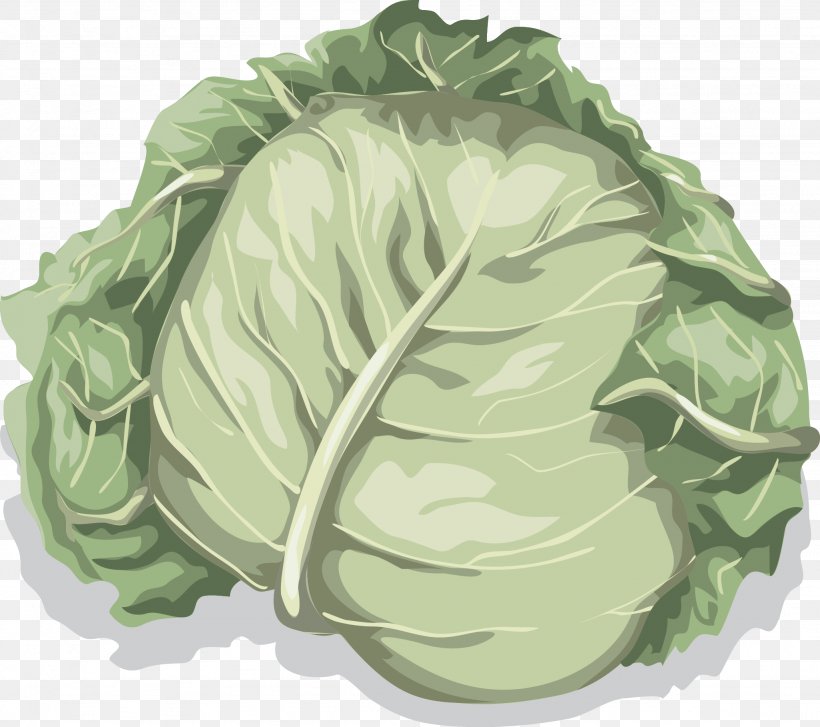 Cabbage Cauliflower Vegetable Lettuce, PNG, 2049x1818px, Cabbage, Brassica Oleracea, Carrot, Cauliflower, Chinese Cabbage Download Free