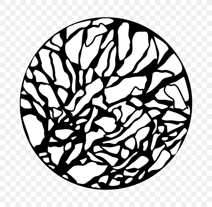 Clip Art Pattern Steel Apollo Flower, PNG, 800x800px, Steel, Apollo, Black, Black And White, Branch Download Free