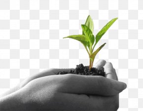 Agriculture Icon - Company Industry Agriculture Organization Product PNG