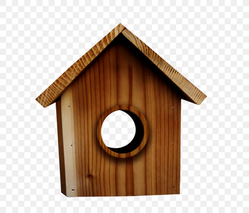 Edible Bird's Nest Bird Nest Nest Box, PNG, 700x700px, Bird, Bird Feeders, Bird Nest, Birdcage, Birdhouse Download Free
