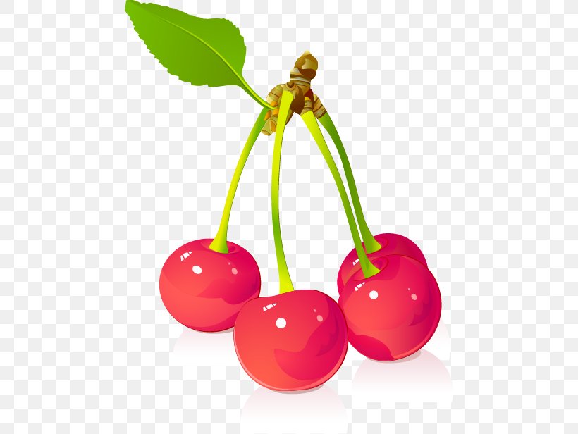 Juice Cherry Fruit Euclidean Vector, PNG, 466x616px, Juice, Cherry, Food, Fruit, Grape Download Free