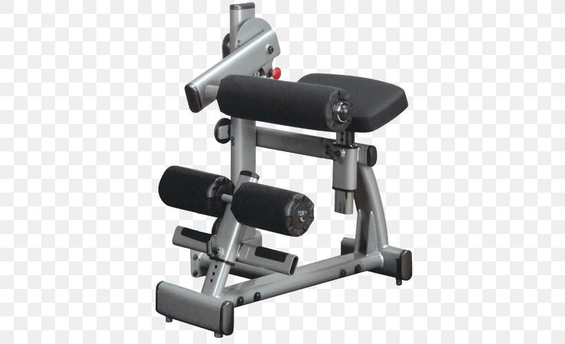 Machine Rear Delt Raise Triceps Brachii Muscle Abdomen, PNG, 500x500px, Machine, Abdomen, Bench, Biceps, Calf Download Free