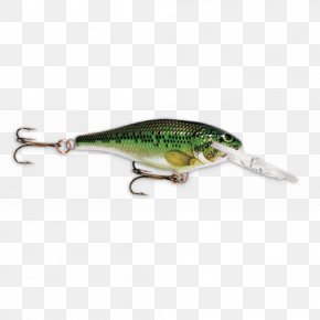 Fishing Baits - Spoon Lure Plug Fishing Baits & Lures Rapala PNG