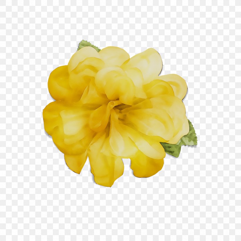 Yellow Cut Flowers, PNG, 1807x1807px, Yellow, Cut Flowers, Flower, Flowering Plant, Freesia Download Free