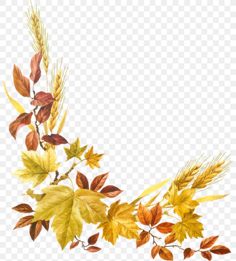 Autumn Hattiesburg Desktop Wallpaper Clip Art, PNG, 800x906px, Autumn, Blog, Branch, Child, Flower Download Free