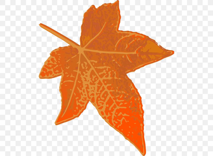 Maple Leaf Orange Clip Art, PNG, 522x598px, Leaf, Autumn, Autumn Leaf Color, Brown, Maple Download Free