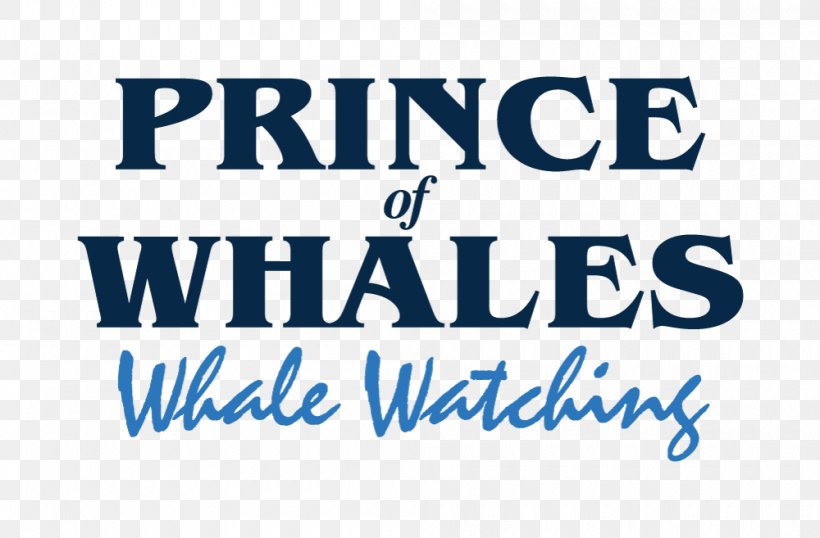 Prince Of Whales Whale Watching Cetacea Hatred's Kingdom: How Saudi Arabia Supports The New Global Terrorism Tribes And State Formation In The Middle East, PNG, 1000x657px, Prince Of Whales Whale Watching, Area, Banner, Blue, Brand Download Free