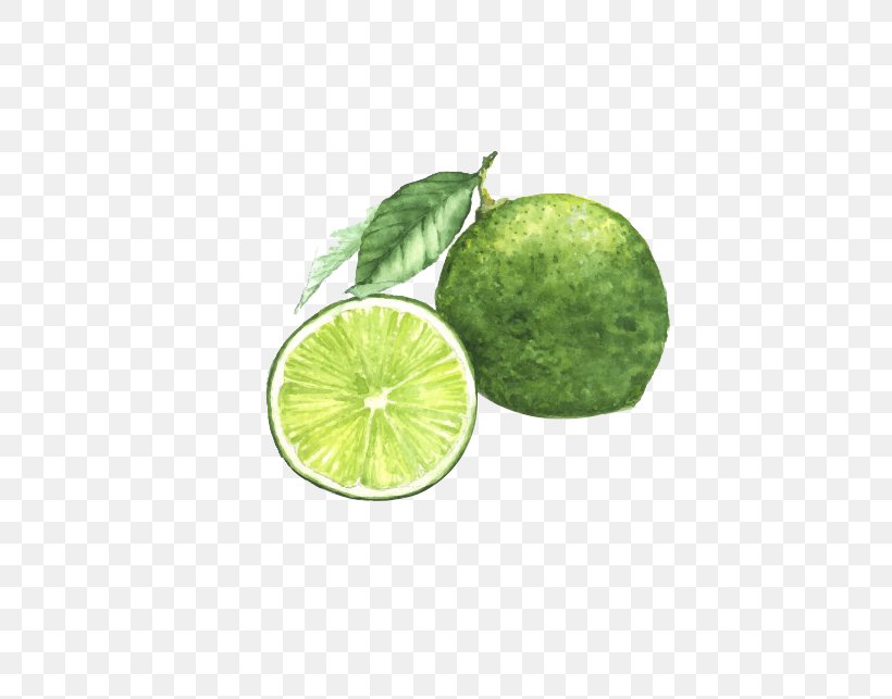Watercolor Painting Lemon Lime Photography, PNG, 627x643px, Watercolor Painting, Banco De Imagens, Citric Acid, Citron, Citrus Download Free