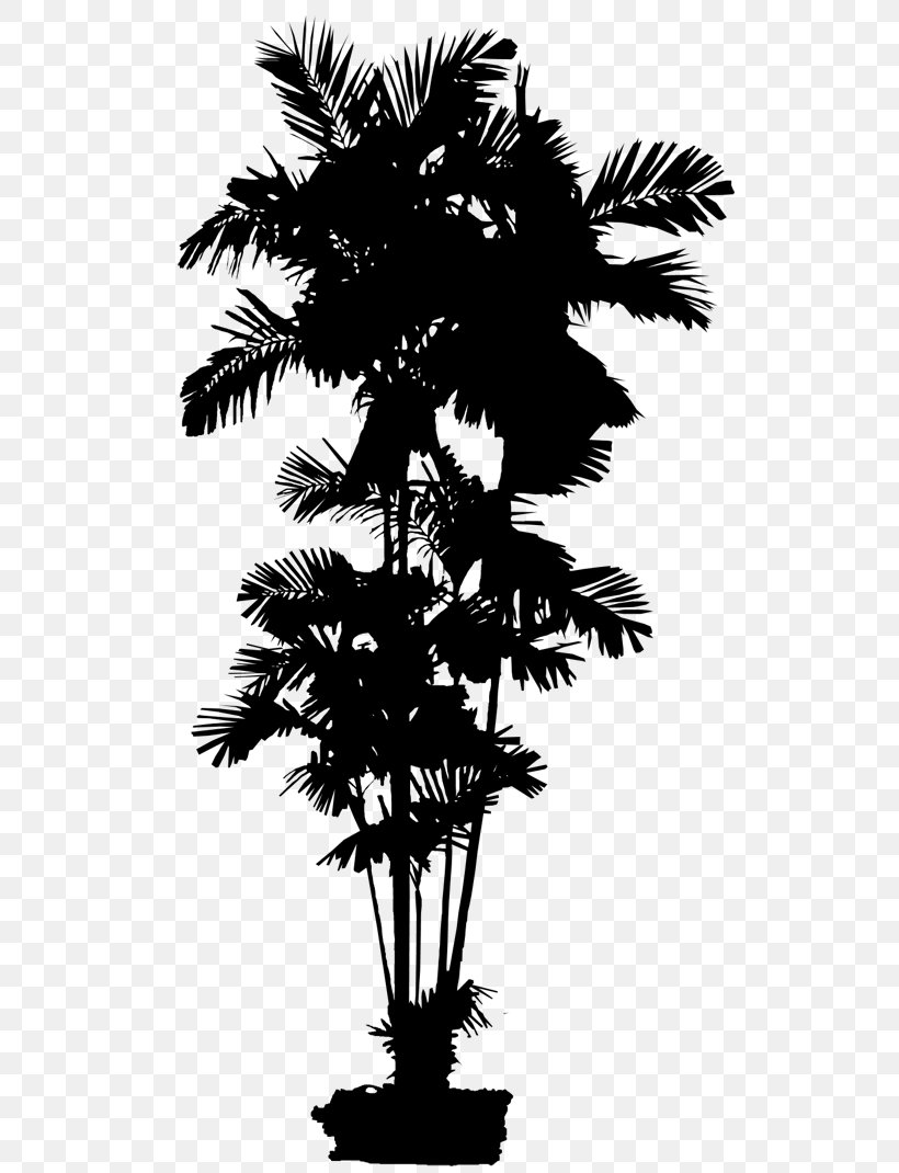 Asian Palmyra Palm Date Palm Leaf Palm Trees Silhouette, PNG, 547x1070px, Asian Palmyra Palm, Arecales, Blackandwhite, Borassus, Borassus Flabellifer Download Free