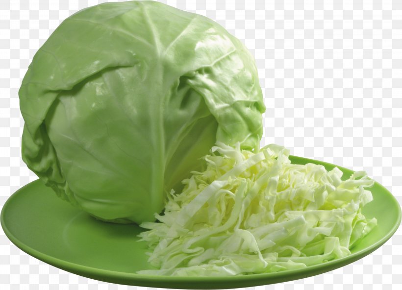 Cabbage Cauliflower Kapusta Kiszona Duszona Vegetable Sauerkraut, PNG, 3200x2312px, Cabbage, Brassica Oleracea, Broth, Carrot, Cauliflower Download Free