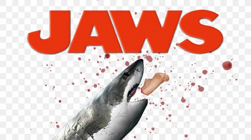 Martin Brody Jaws Film Poster Cinema, PNG, 1000x562px, Martin Brody, Art, Brand, Cinema, Dolphin Download Free