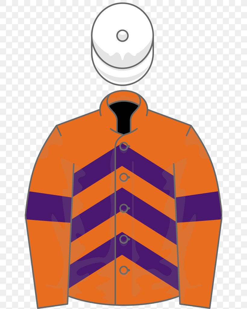 Ascot Gold Cup Horse Racing Information, PNG, 656x1024px, Ascot Gold Cup, Brand, Diagram, Horse Racing, Information Download Free