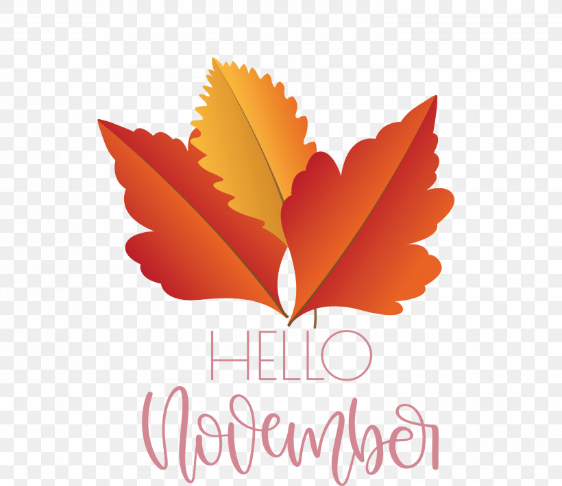 Hello November November, PNG, 3000x2600px, Hello November, Biology, Leaf, Logo, Maple Leaf M Download Free