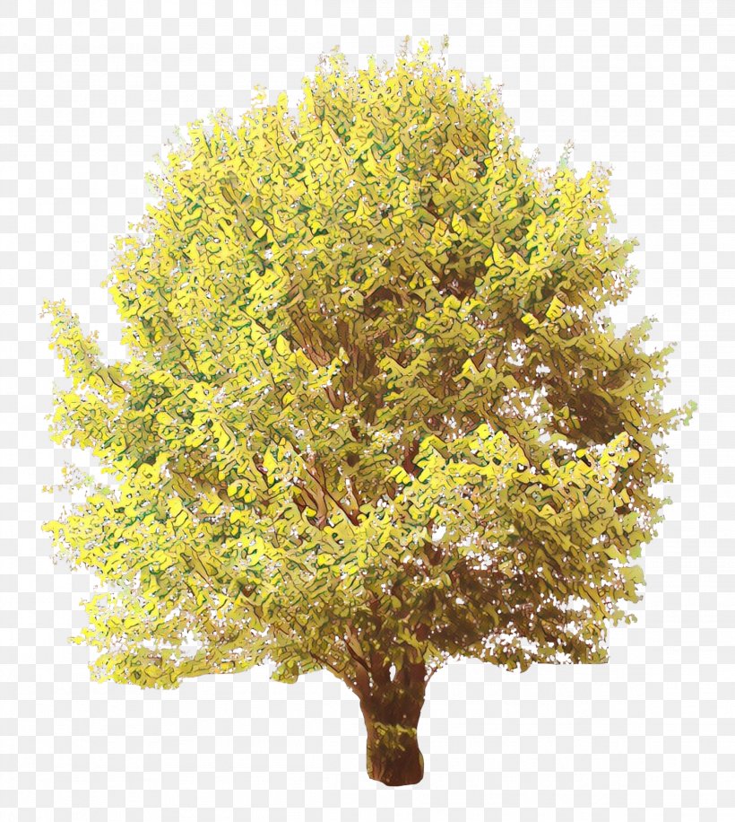 Plane, PNG, 2304x2575px, Cartoon, American Larch, Flower, Flowering Plant, Grass Download Free