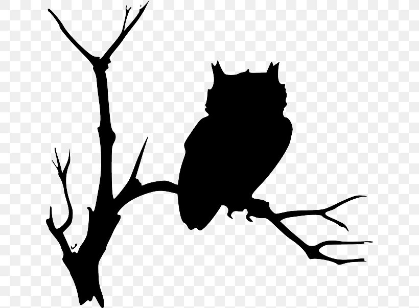 Barn Owl Drawing Clip Art, PNG, 640x603px, Owl, Artwork, Barn Owl, Bat, Beak Download Free