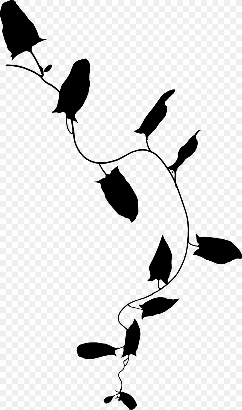 Clip Art Beak Bird Black & White, PNG, 1652x2800px, Beak, Art, Bird, Black White M, Silhouette Download Free