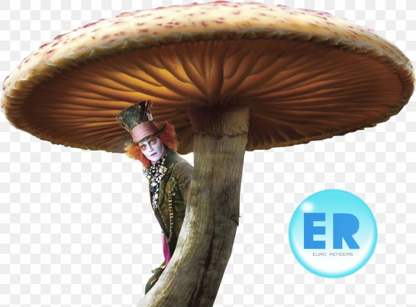 Mad Hatter Alice's Adventures In Wonderland Red Queen Alice In Wonderland Desktop Wallpaper, PNG, 1110x819px, Mad Hatter, Alice In Wonderland, Charlie And The Chocolate Factory, Display Resolution, Edible Mushroom Download Free