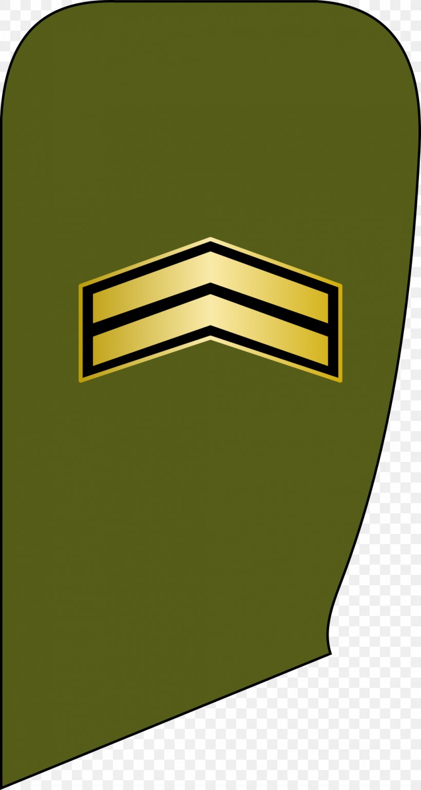 پاسیار درجه‌های نیروی انتظامی ایران Colonel Shahrbani سرتیپ, PNG, 1036x1945px, Colonel, Brand, Degree, Grass, Green Download Free