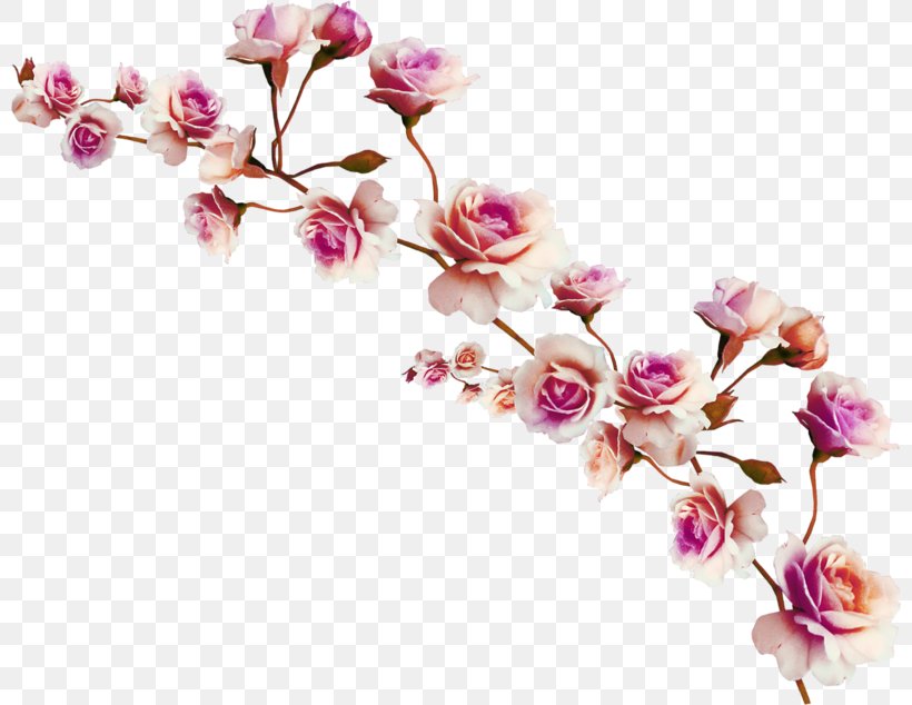 Digital Image Clip Art, PNG, 800x634px, Digital Image, Archive File, Blossom, Branch, Cherry Blossom Download Free