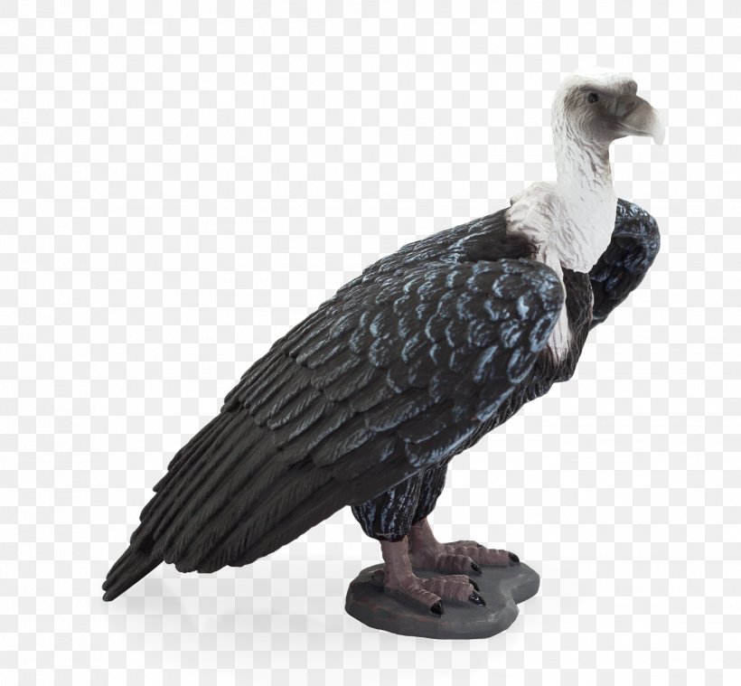 Griffon Vulture Turkey Vulture  White-rumped Vulture, PNG,  1959x1814px, Griffon Vulture, Accipitridae, Amazoncom, Beak,