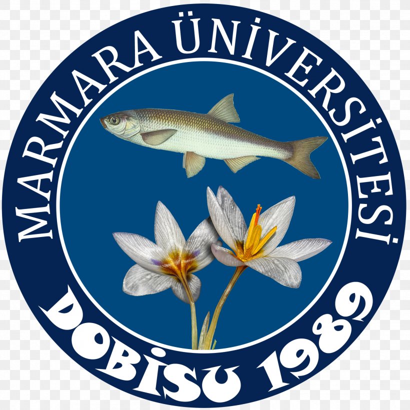 Marmara University Research Fish Nature, PNG, 1984x1984px, Marmara University, Fish, Flower, Marmara Region, Nature Download Free