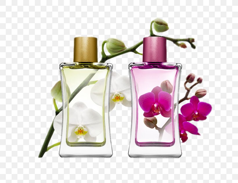 Perfumer Eau De Toilette IPRA Fragrances Aroma Compound, PNG, 763x631px, Perfume, Aroma Compound, Bell Flavors Fragrances, Bottle, Cosmetic Industry Download Free