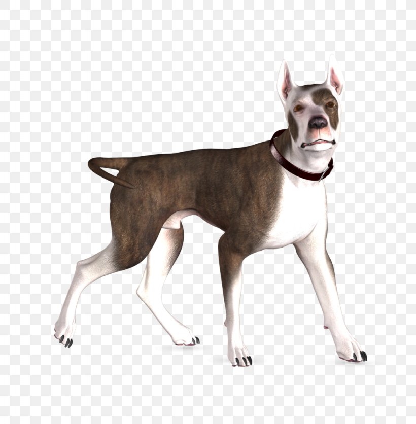 Boston Terrier Great Dane Bull Terrier English White Terrier Rottweiler, PNG, 1024x1045px, 3d Computer Graphics, Boston Terrier, Animal, Bull Terrier, Canidae Download Free