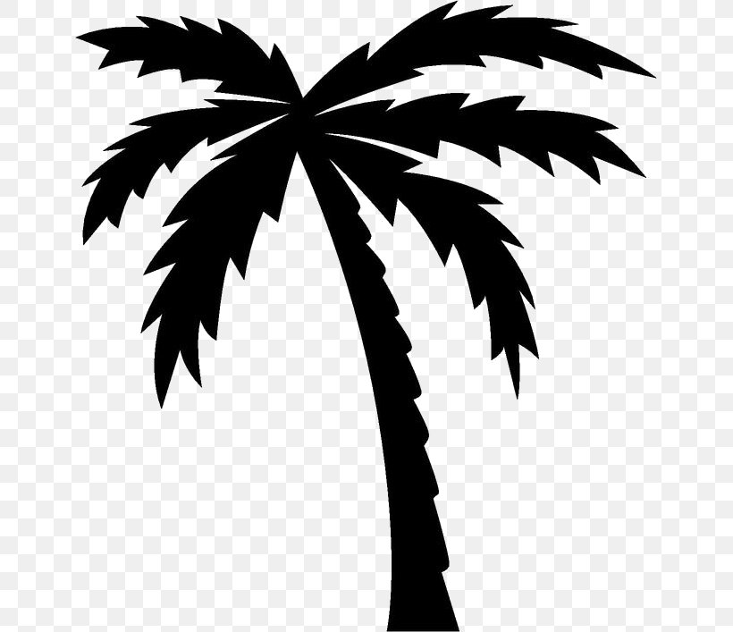 Drawing Arecaceae, PNG, 651x707px, Drawing, Archontophoenix Alexandrae, Arecaceae, Arecales, Art Download Free