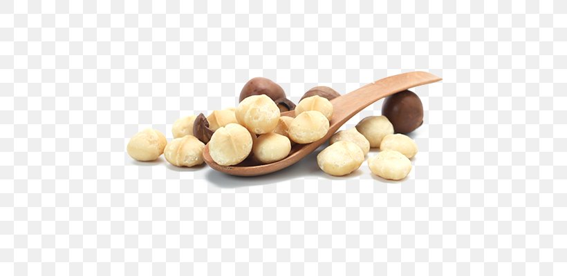 Macadamia Oil Macadamia Nut Tree Nut Allergy, PNG, 480x400px, Macadamia, Food, Hazelnut, Ingredient, Macadamia Nut Download Free