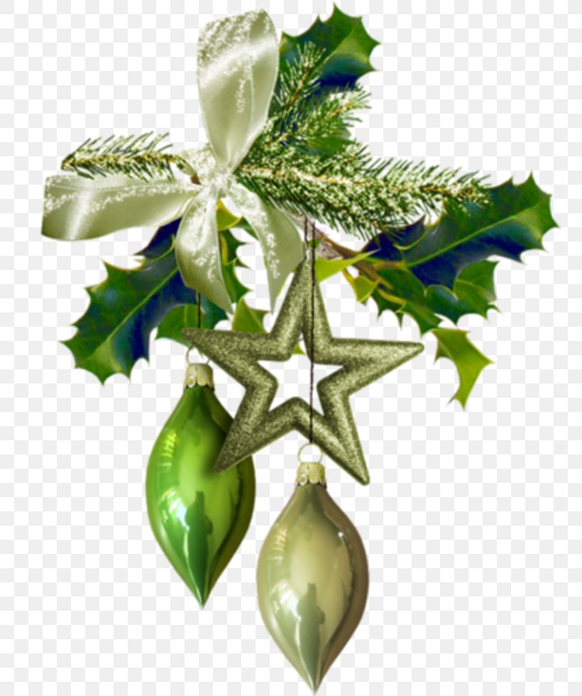 Christmas Ornament Green Ball Christmas Day, PNG, 770x980px, Christmas Ornament, Ball, Branch, Branching, Christmas Day Download Free