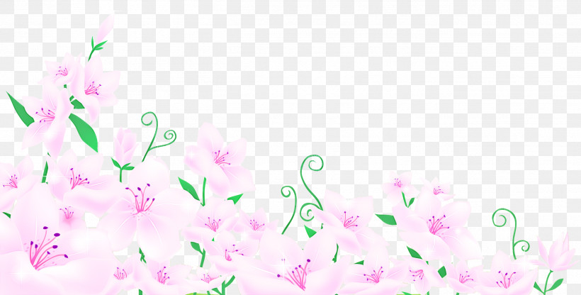 Lily Flower, PNG, 2631x1337px, Lily Flower, Cartoon, Drawing, Floral Design, Flower Download Free