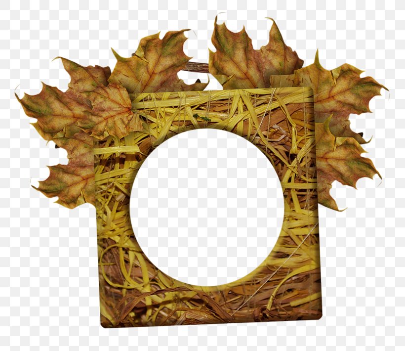 Picture Frames Autumn Season Image Ornament, PNG, 800x710px, Picture Frames, Autumn, Blog, Drawing, Leaf Download Free