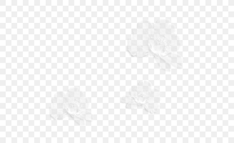 White Wallpaper, PNG, 500x500px, White, Black And White, Flower, Monochrome, Monochrome Photography Download Free