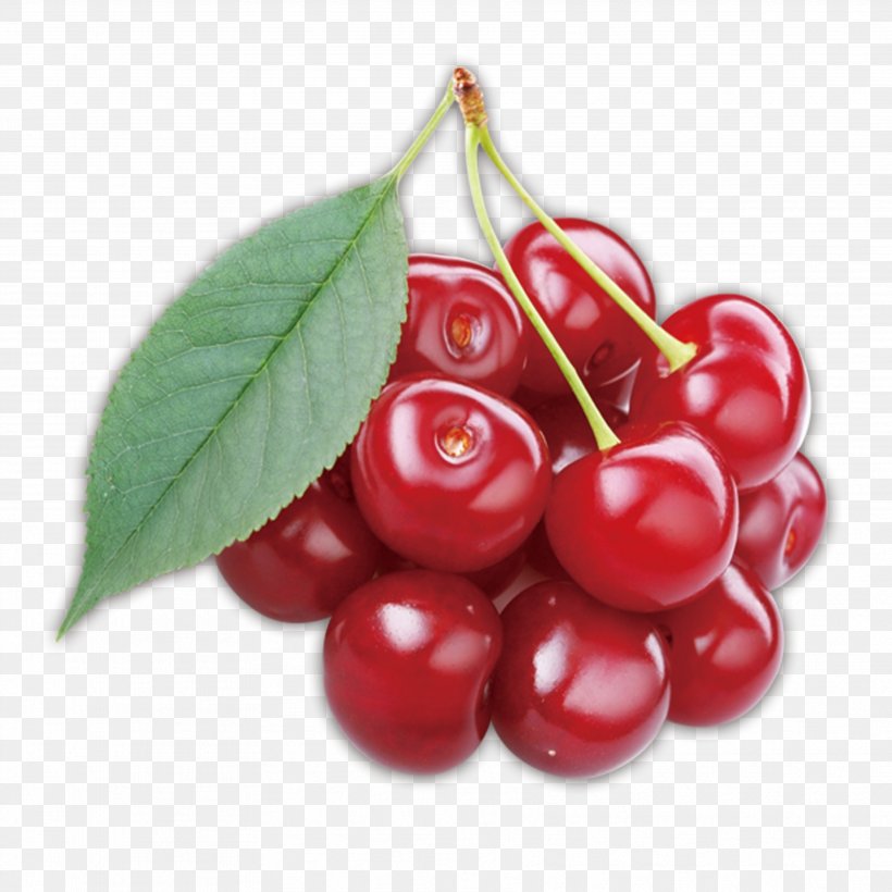 Cherry Lingonberry Auglis Cancer, PNG, 3543x3543px, Cherry, Acerola Family, Auglis, Berry, Cancer Download Free